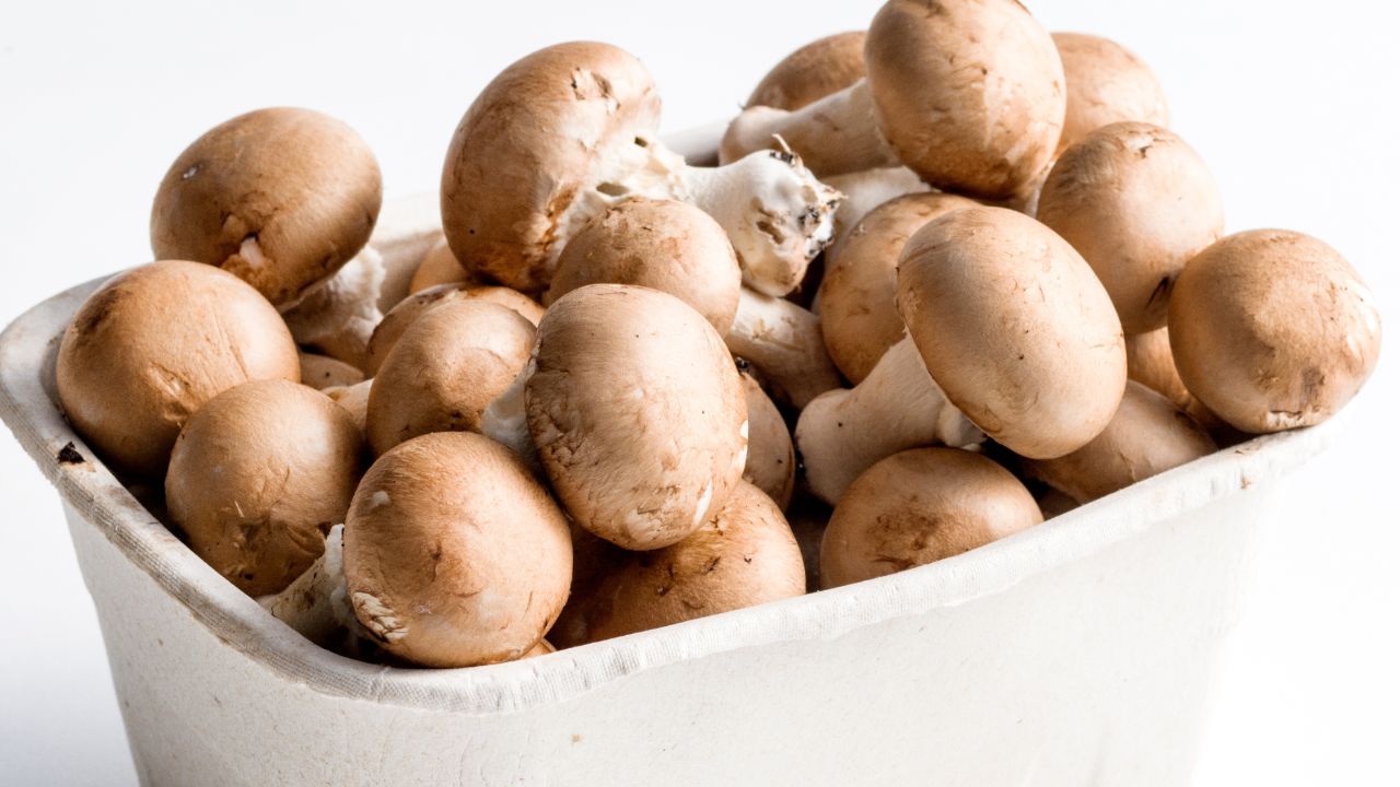 Comment Conserver Les Champignons | Spar Colruyt Group